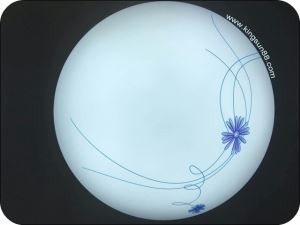 Φωτιστικό οροφής LED C