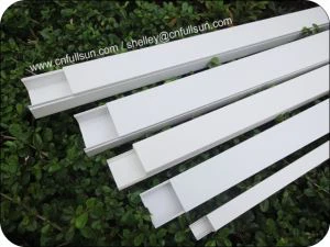 PVC καλώδιο trunking αρουραίος-απόδειξη Damproof
